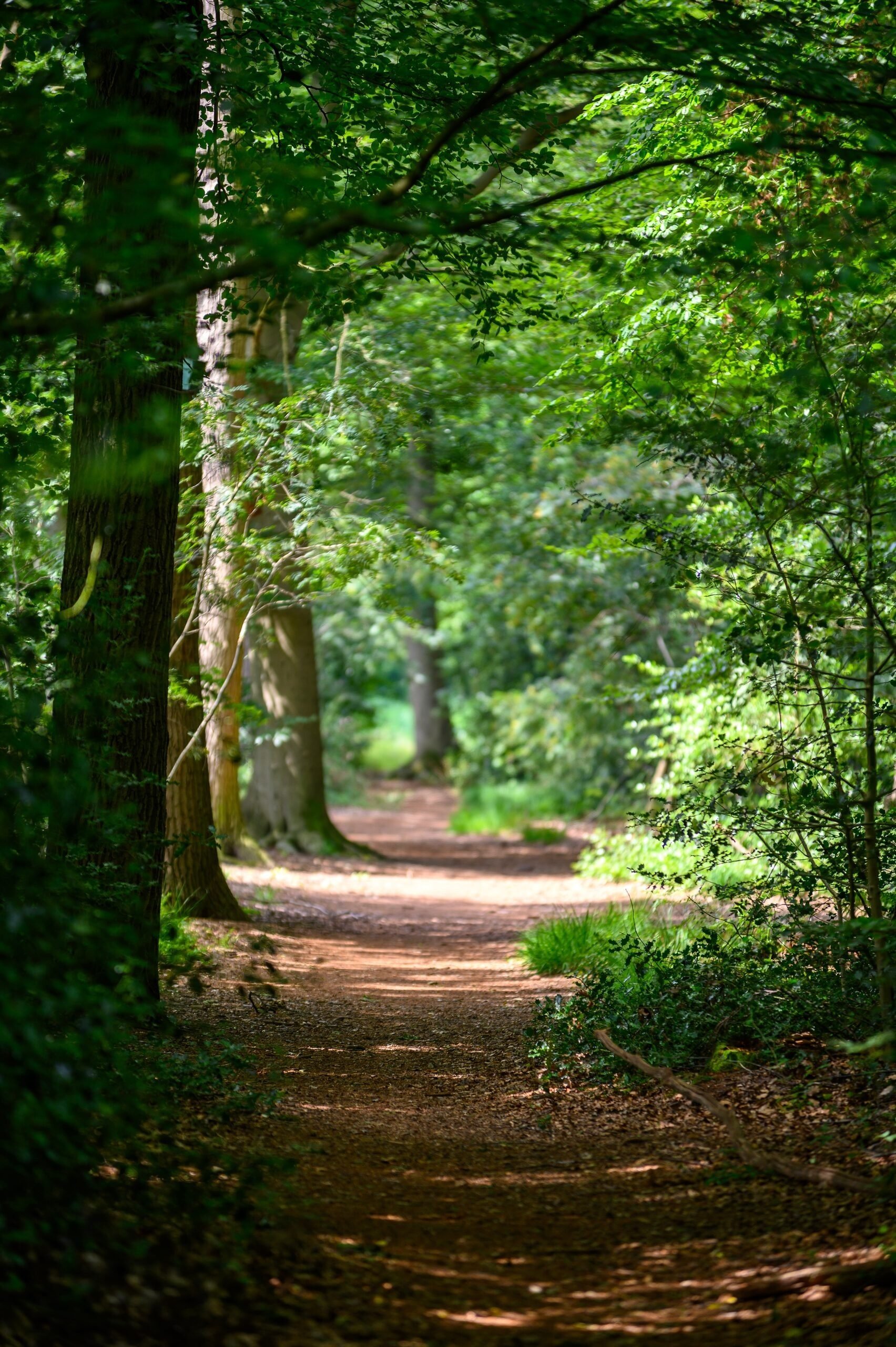 Wandelroute Bert Bos pad
