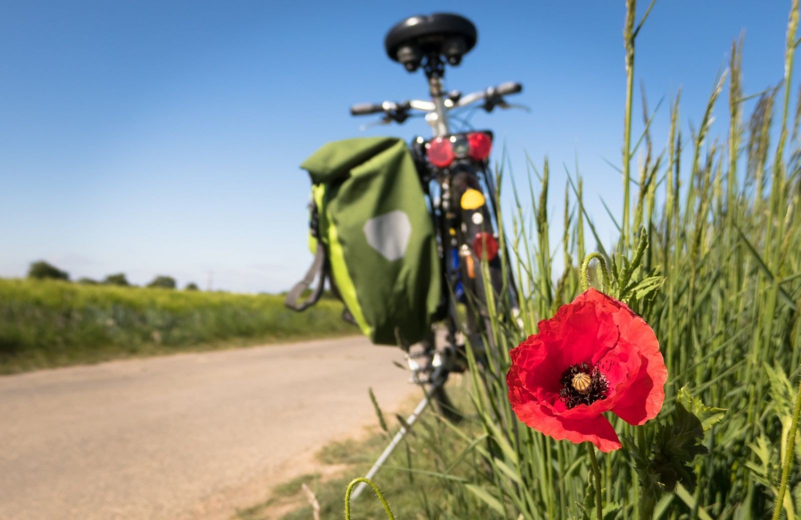 Ontdek lage vuursche in de omgeving van camping egelshoek